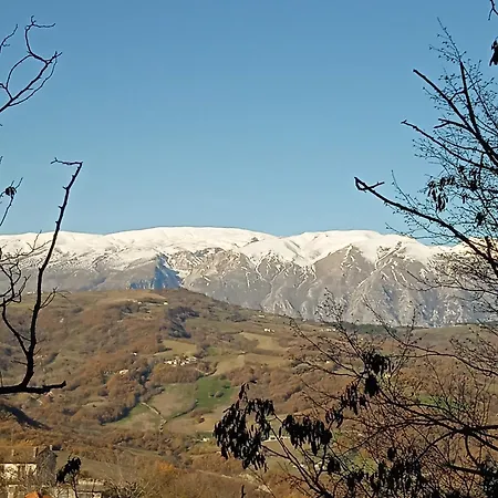 B&B Borrello Borrello